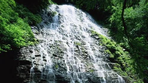 高端电子高性能